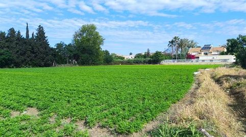 Foto 4 de Finca rústica en venda a Puente Tocinos, Murcia Capital