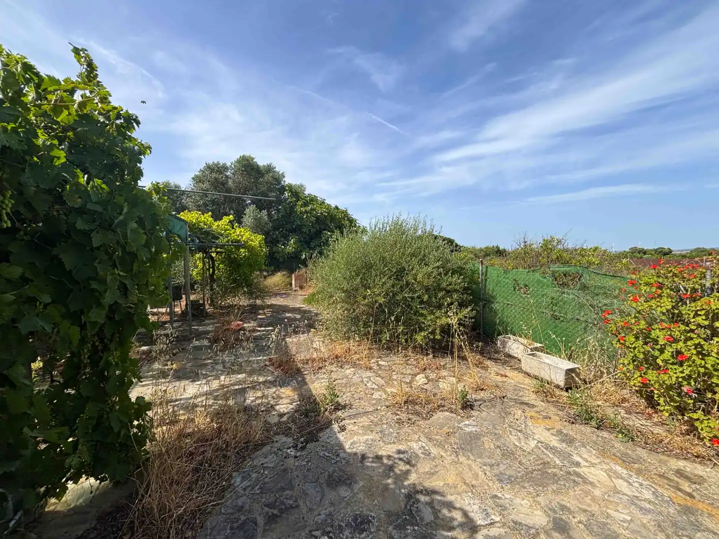 Terreny rústic en venda a Medina Sidonia, imagen 29