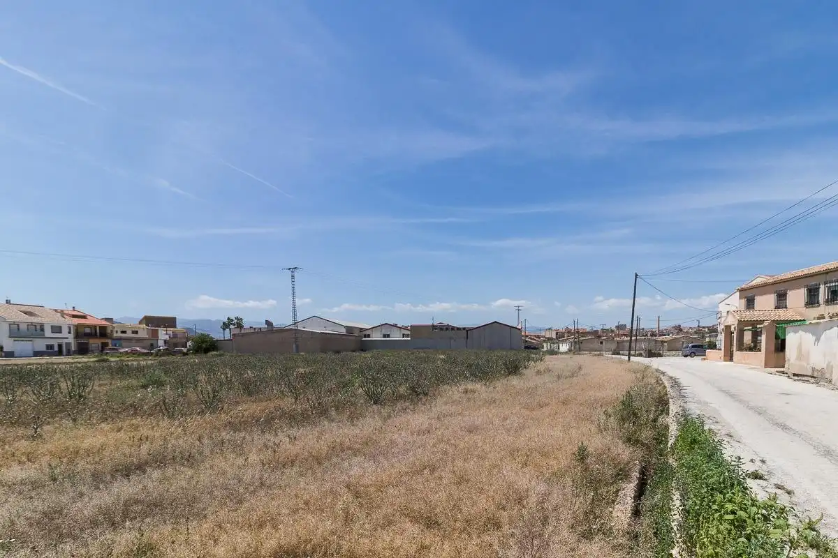 Lands and plots for sale in Mula, imagen 2