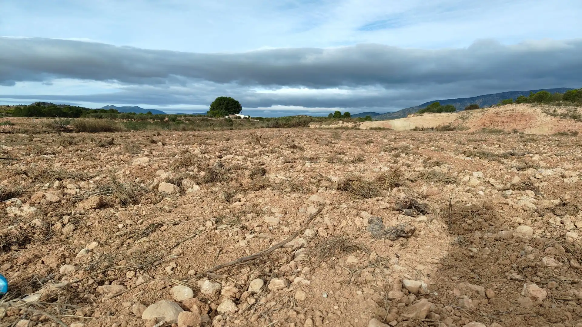 Rural land for sale in Monóvar  / Monòver, imagen 8