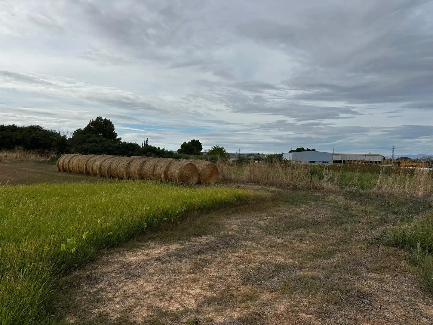 Land for sale in Albatàrrec