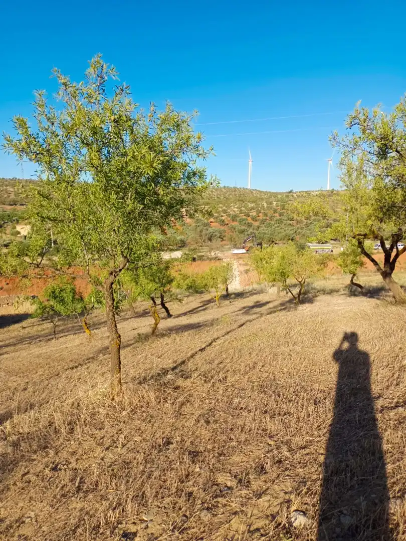 Rural land for sale in Nigüelas, imagen 4
