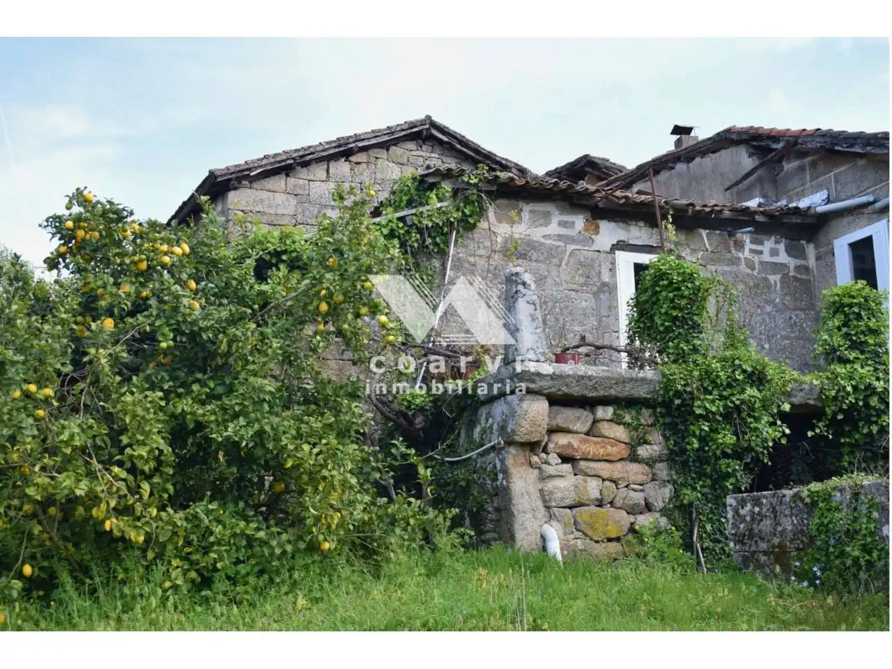 Vista exterior de Casa o chalet en venta en Coles con Jardín privado y Terraza