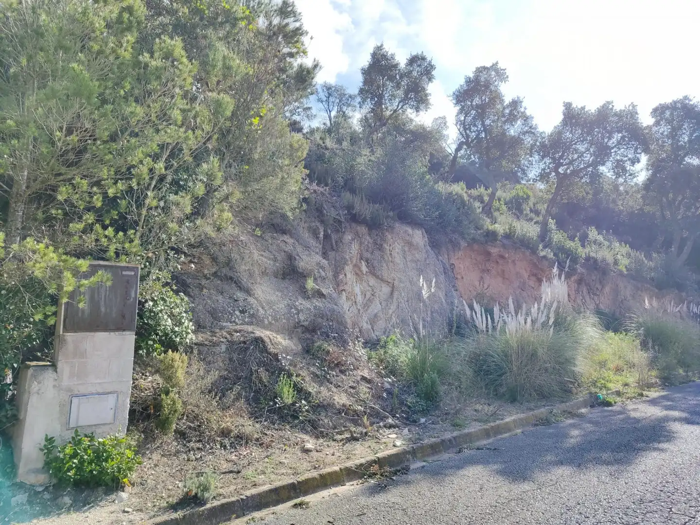 Terrenos y solares en venta en Venus, imagen 10