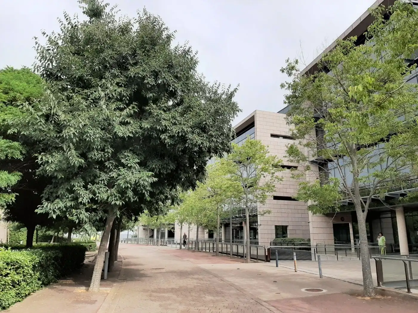 Office space to rent in Bellaterra, imagen 3