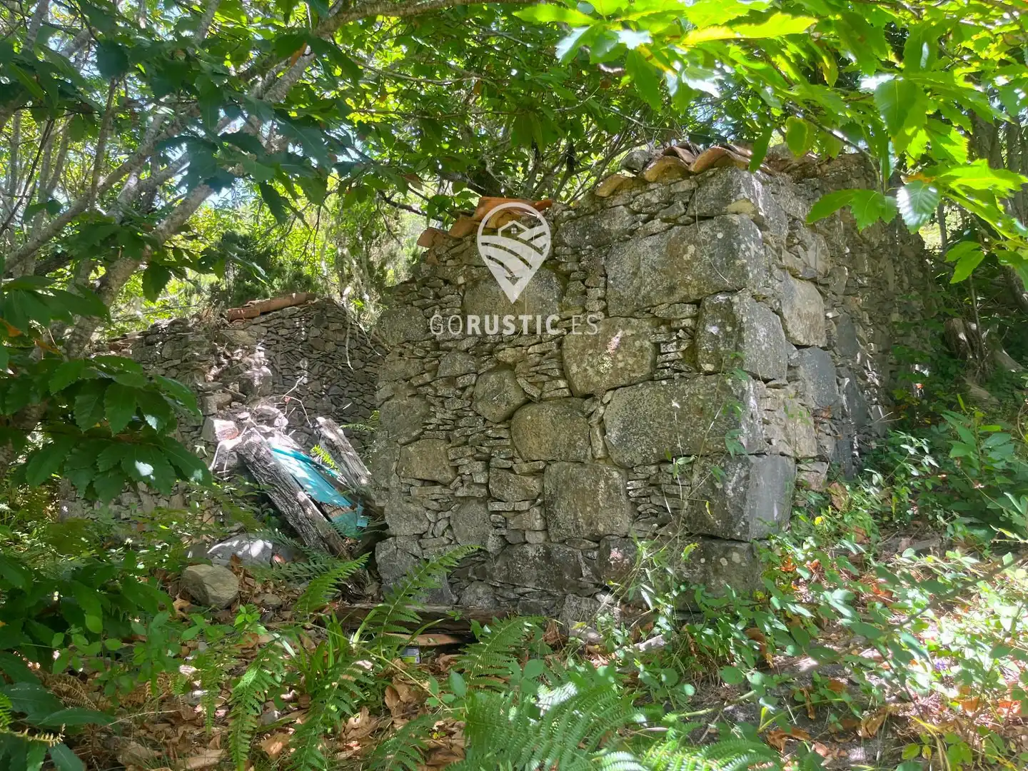 Terreno rústico en venta en Cruz de Tierno, Pol 2; Parc. 344 y 10344, imagen 20