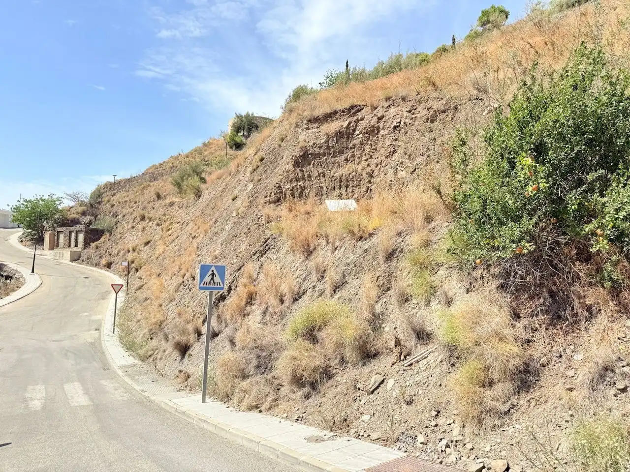 Terreni e lotti in vendita a El Peñoncillo, imagen 4