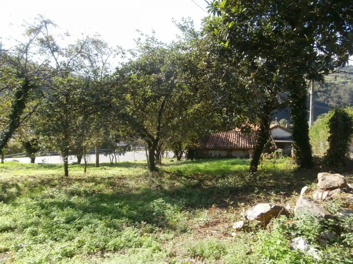 Casa o xalet en venda en Salas amb Jardí privat i Terrassa
