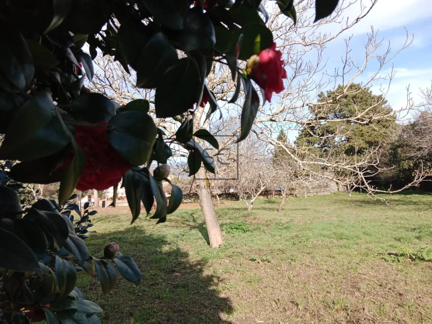 Jardín de Residencial en venta en Pontedeume