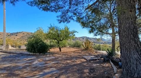 Foto 2 de Finca rústica en venda a Zarzalico, Murcia