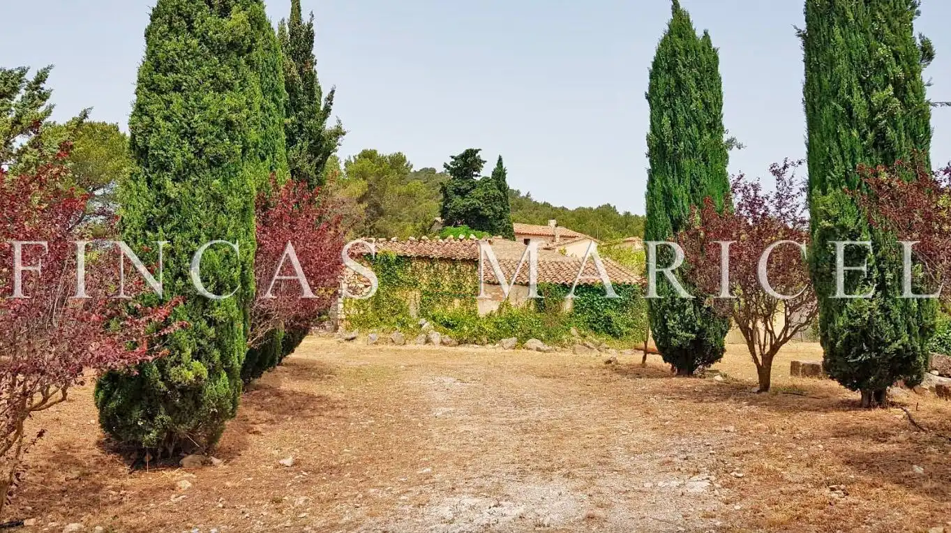 Maison rustique avec jardin à vendre à Pontons, imagen 7