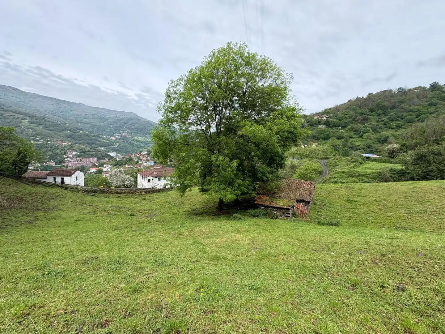 Casa o chalet en venta en Aller con Jardín privado