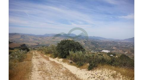 Foto 5 de Finca rústica en venda a Torre Alháquime, Cádiz