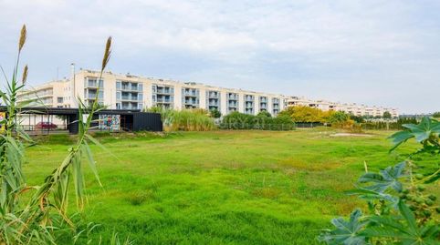 Foto 2 de Terreny en venda a Avinguda de la Mar, 13, Platja D'almenara Casablan, -1, Almenara, Castellón