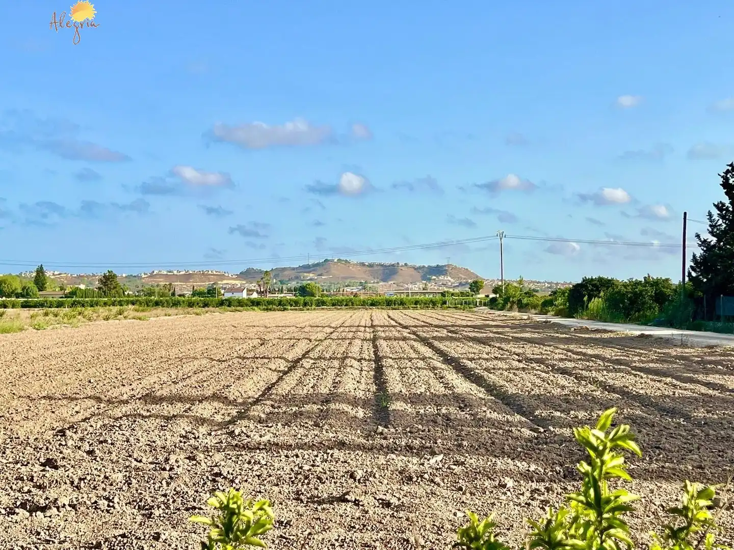 Casa o xalet en venda en Daya Vieja amb Aire condicionat, Calefacció i Jardí privat