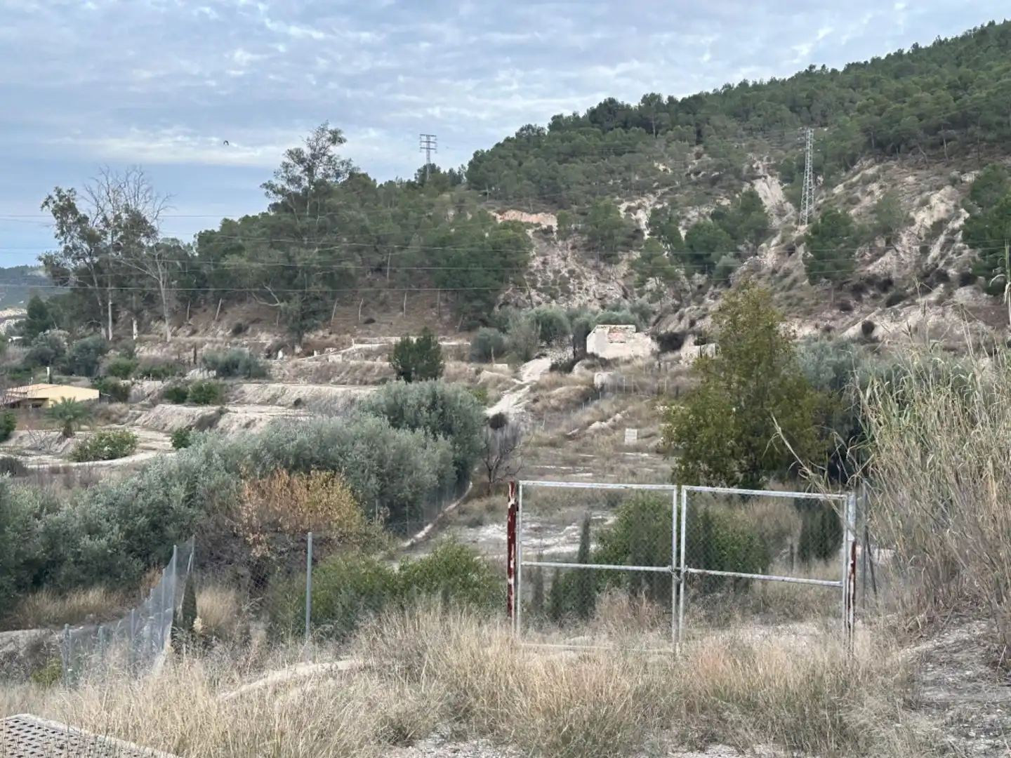 Rustikales Grundstück zum Verkauf in Cieza, imagen 3