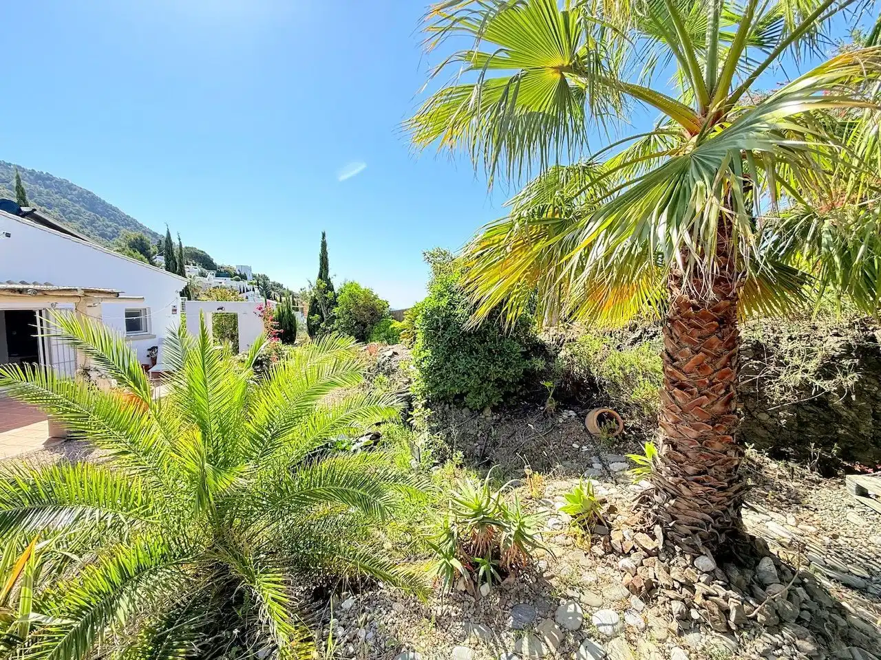 Vista exterior de Casa o xalet en venda en Frigiliana amb Aire condicionat, Calefacció i Jardí privat