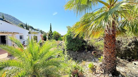 Foto 2 de Casa o xalet en venda a Frigiliana, Málaga