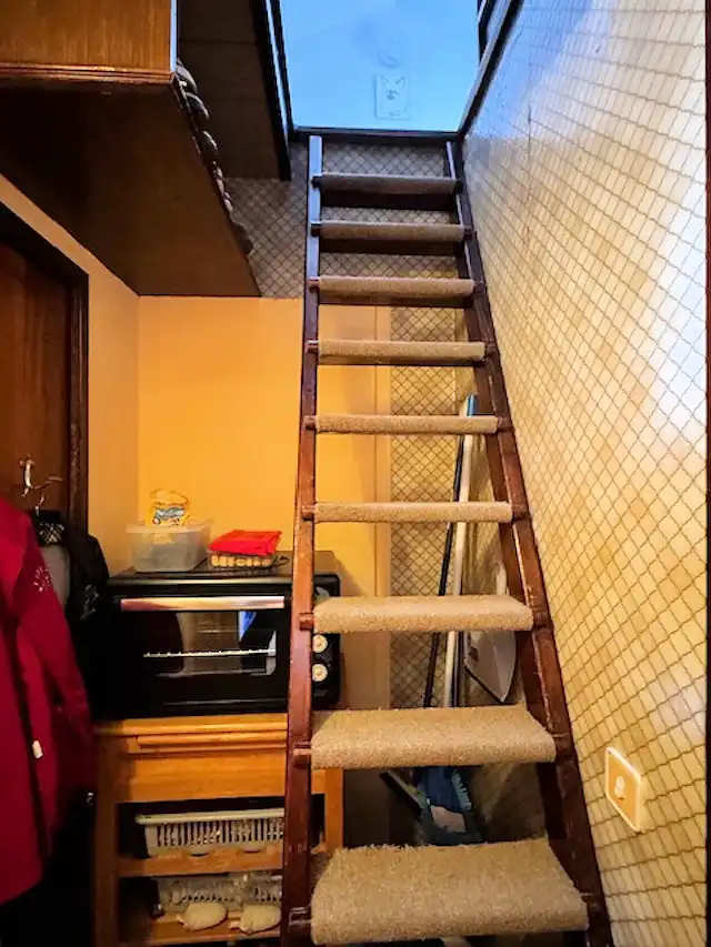 Casa con jardín en venta en Riells, imagen 12