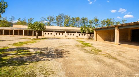 Foto 2 de Casa o chalet en venta en Inca - Carrer del Rei, Alaró, Illes Balears
