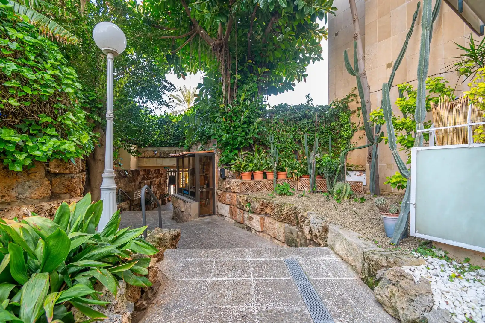Jardí de Local en venda en  Palma de Mallorca