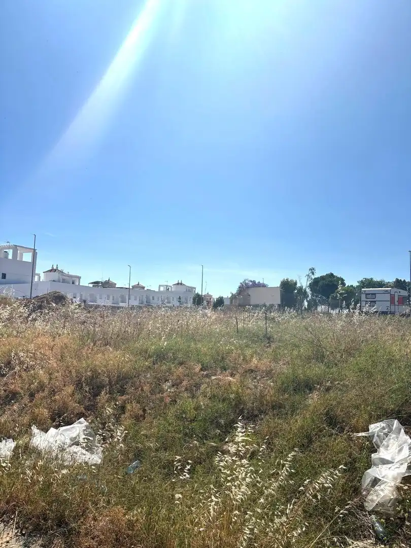 Terreni e lotti in vendita a Gerena, imagen 2