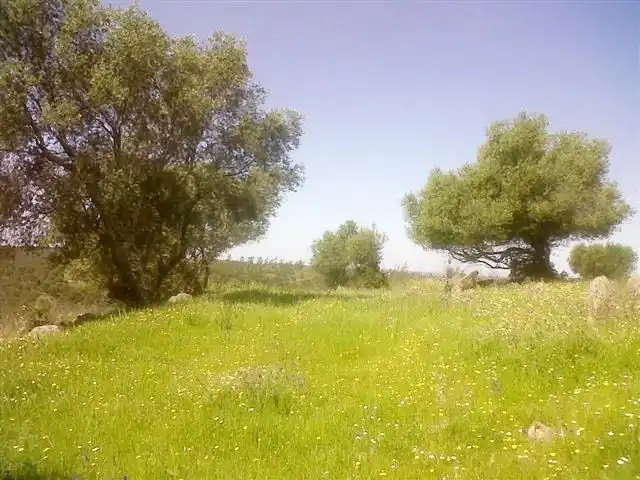 Terrenys i solars en venda a Beas, imagen 4
