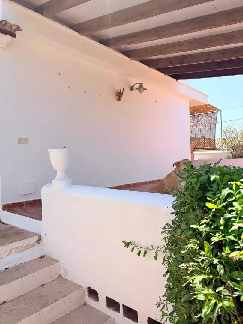 Vista exterior de Casa o chalet en venta en Calvià con Aire acondicionado, Terraza y Trastero