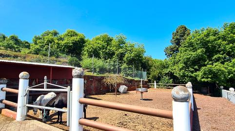 Foto 5 de Finca rústica en venda a N/a, La Perdoma - San Antonio - Benijos, Santa Cruz de Tenerife