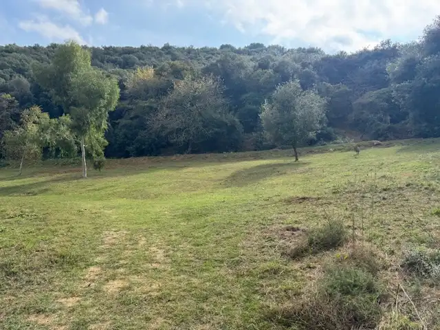 Wohnbaugrundstück zum Verkauf in Antonio Torrent I Martori, S/N, imagen 11