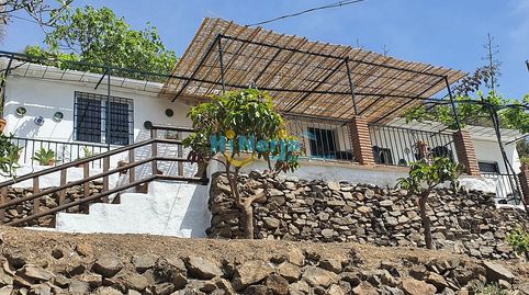 Cortijo 1 dormitorio alberca terreno 6000m2 Torrox
