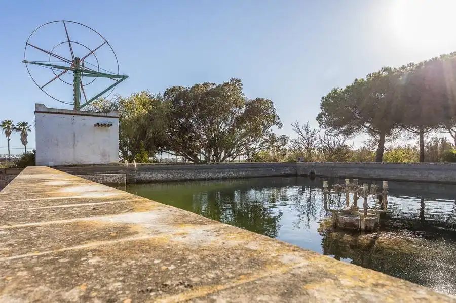 Casa rústica en venta en Ses Salines Poble, imagen 4