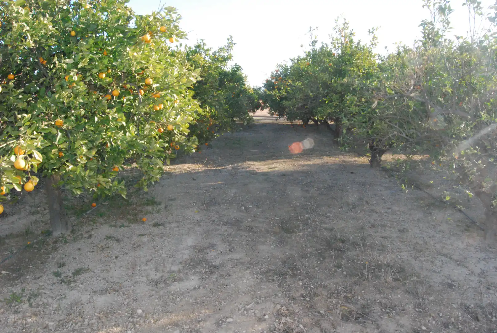 Houses for sale in Alicante / Alacant  with Air Conditioner, Terrace and Storage room