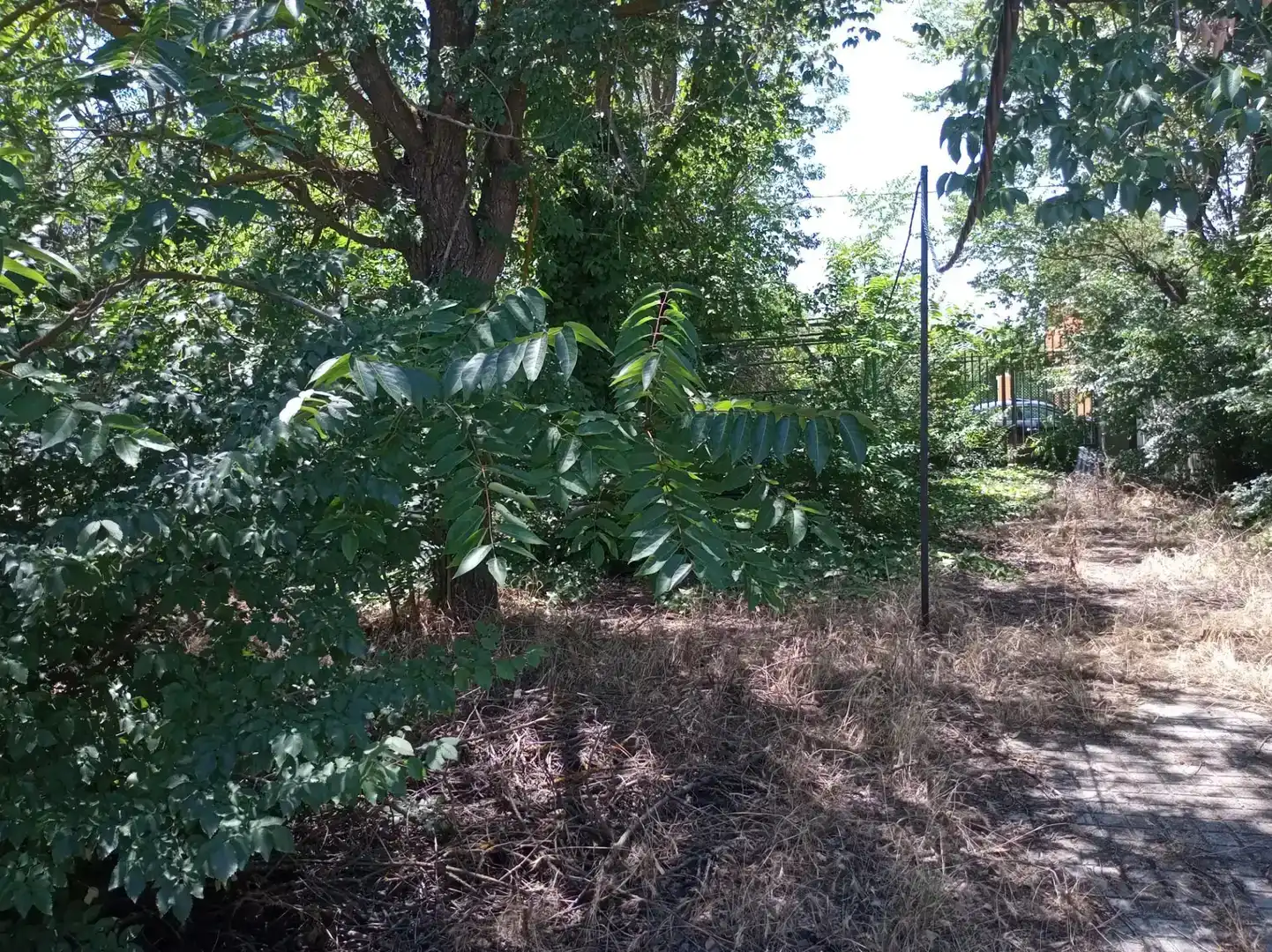 Planta baixa en venda en Villafranca de los Caballeros amb Traster