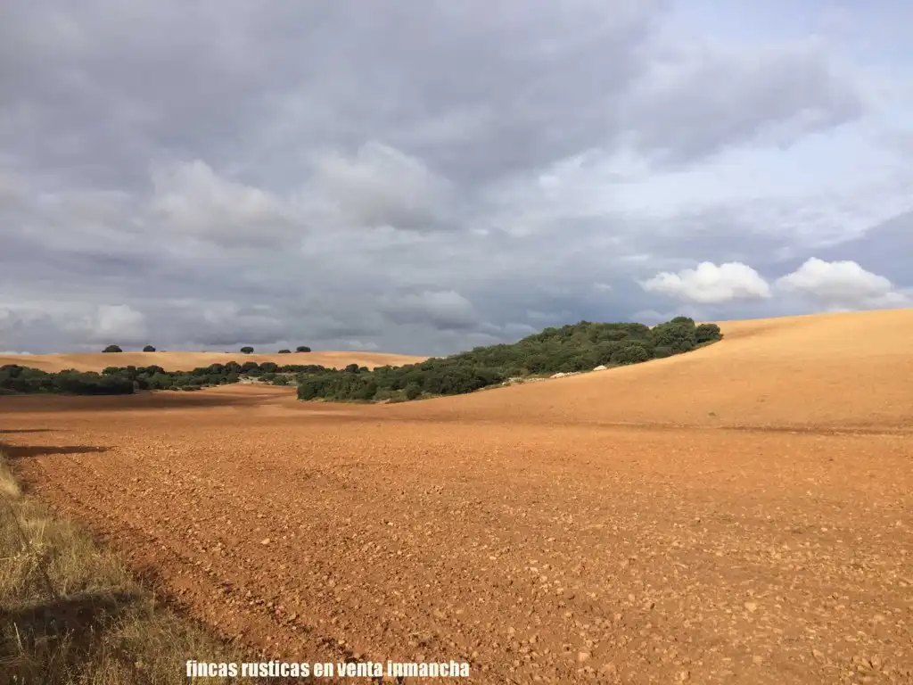 Terreni e lotti in vendita a Munera