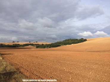 Terreno rustico in vendita a Munera