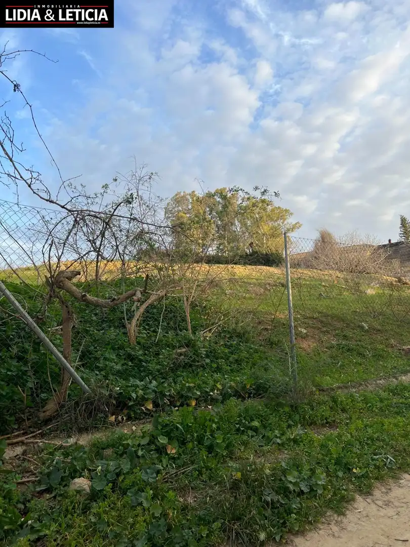 Rural land for sale in Nueva Alcalá, imagen 8