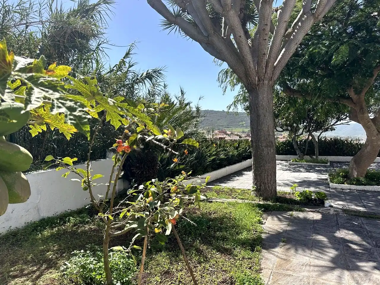 Houses for rent in Tegueste