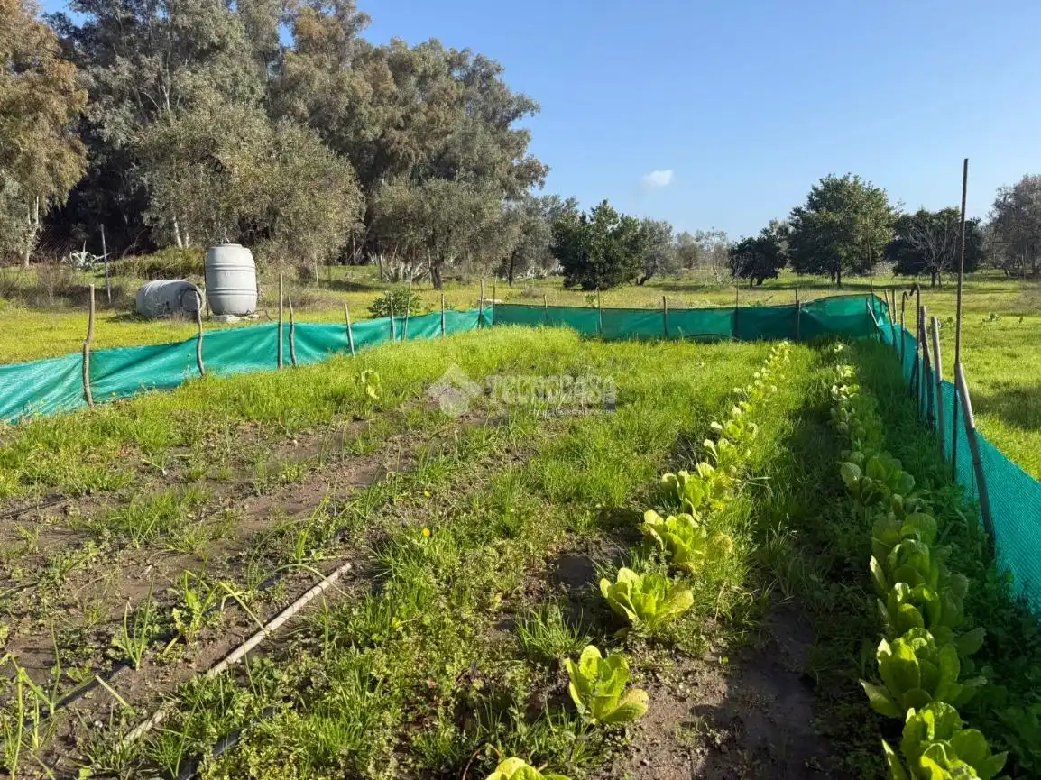 Terreno en venta en Arahal