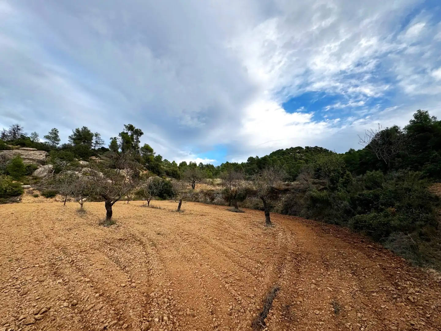 Terreni e lotti in vendita a Alcañiz, imagen 8