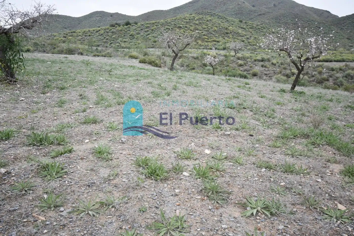 Terreno rústico en venta en Pedanías Oeste, imagen 13