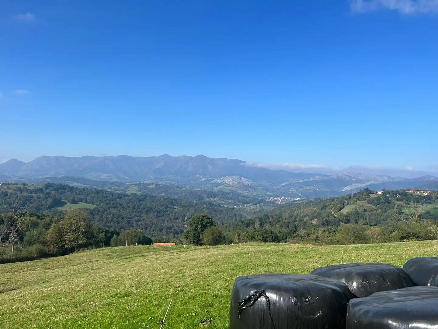 Terrenos y solares en venta en Parres, imagen 19