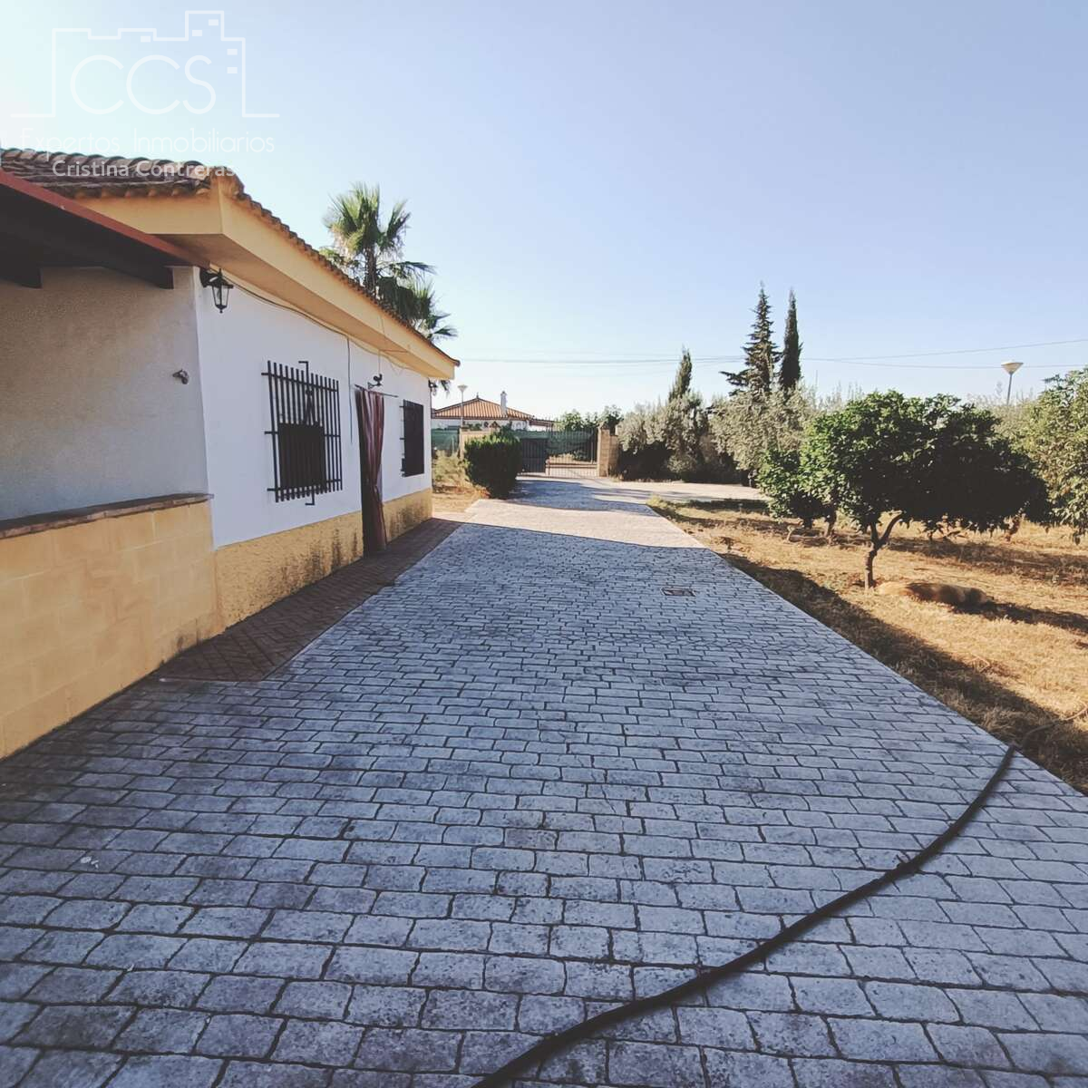 Vista exterior de Casa o xalet en venda en Carmona amb Aire condicionat, Jardí privat i Piscina