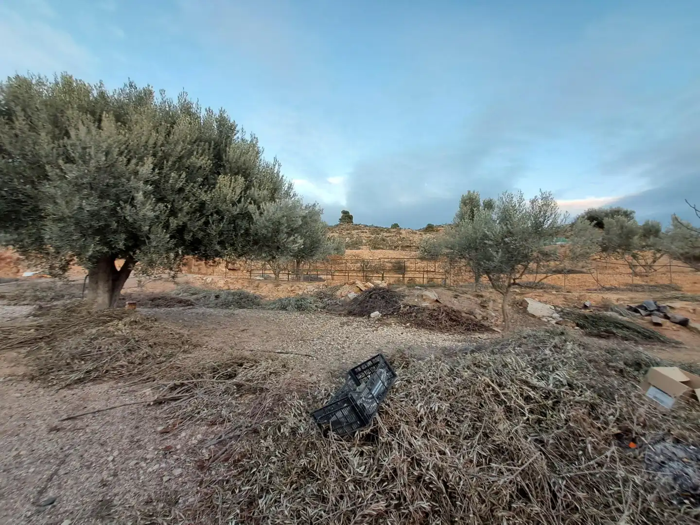 Rustikales Grundstück zum Verkauf in Riba-roja d'Ebre, imagen 3