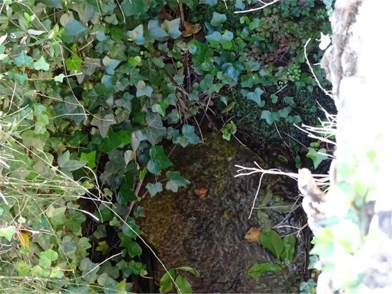 Wohnbaugrundstück zum Verkauf in Paüls, imagen 26