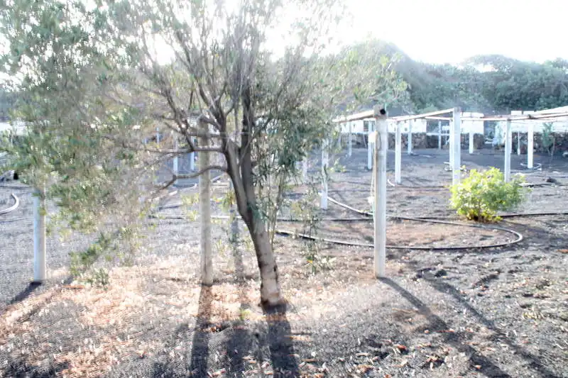 Jardín de Casa o chalet en venta en Haría