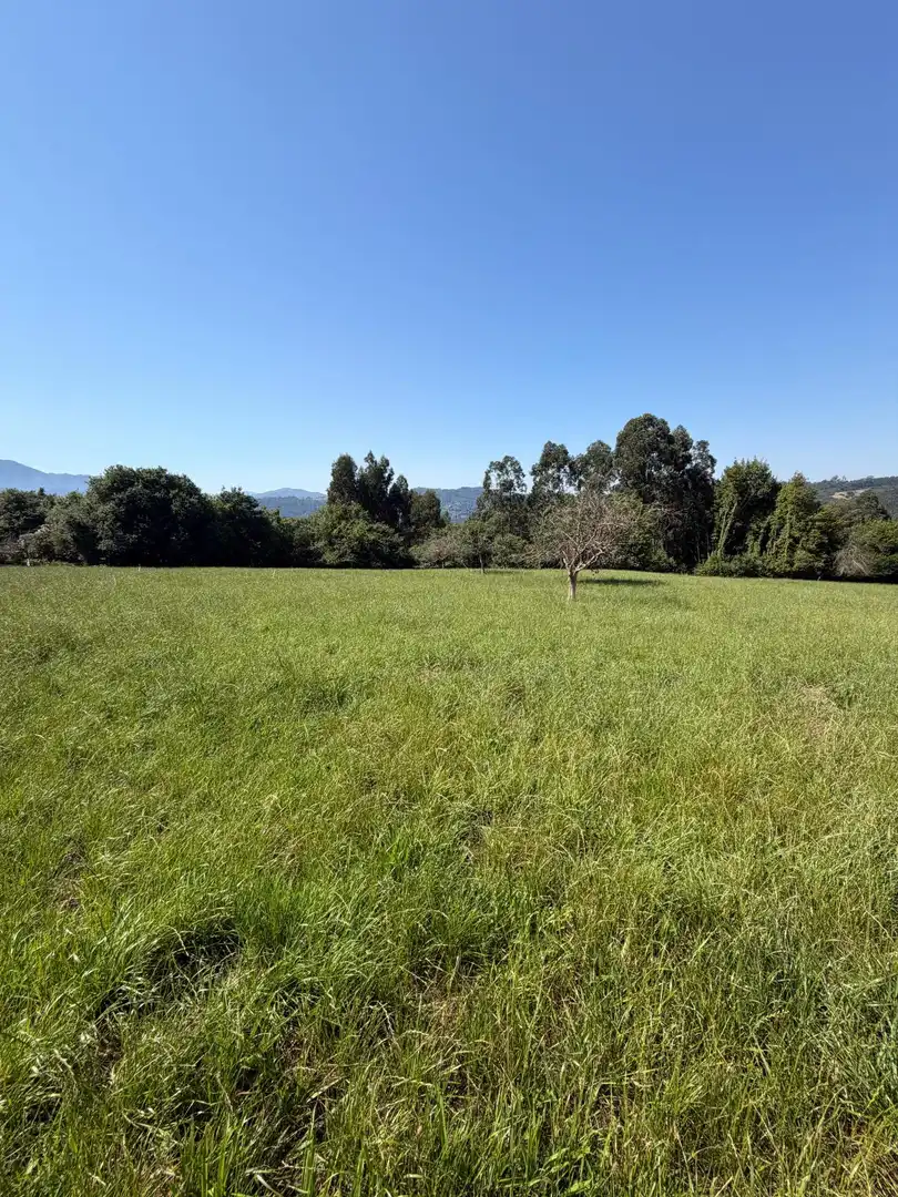 Residencial en venta en Colunga