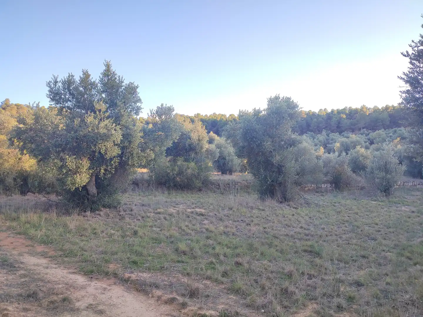 Terreno rústico en venta en Cervià de Les Garrigues, imagen 47