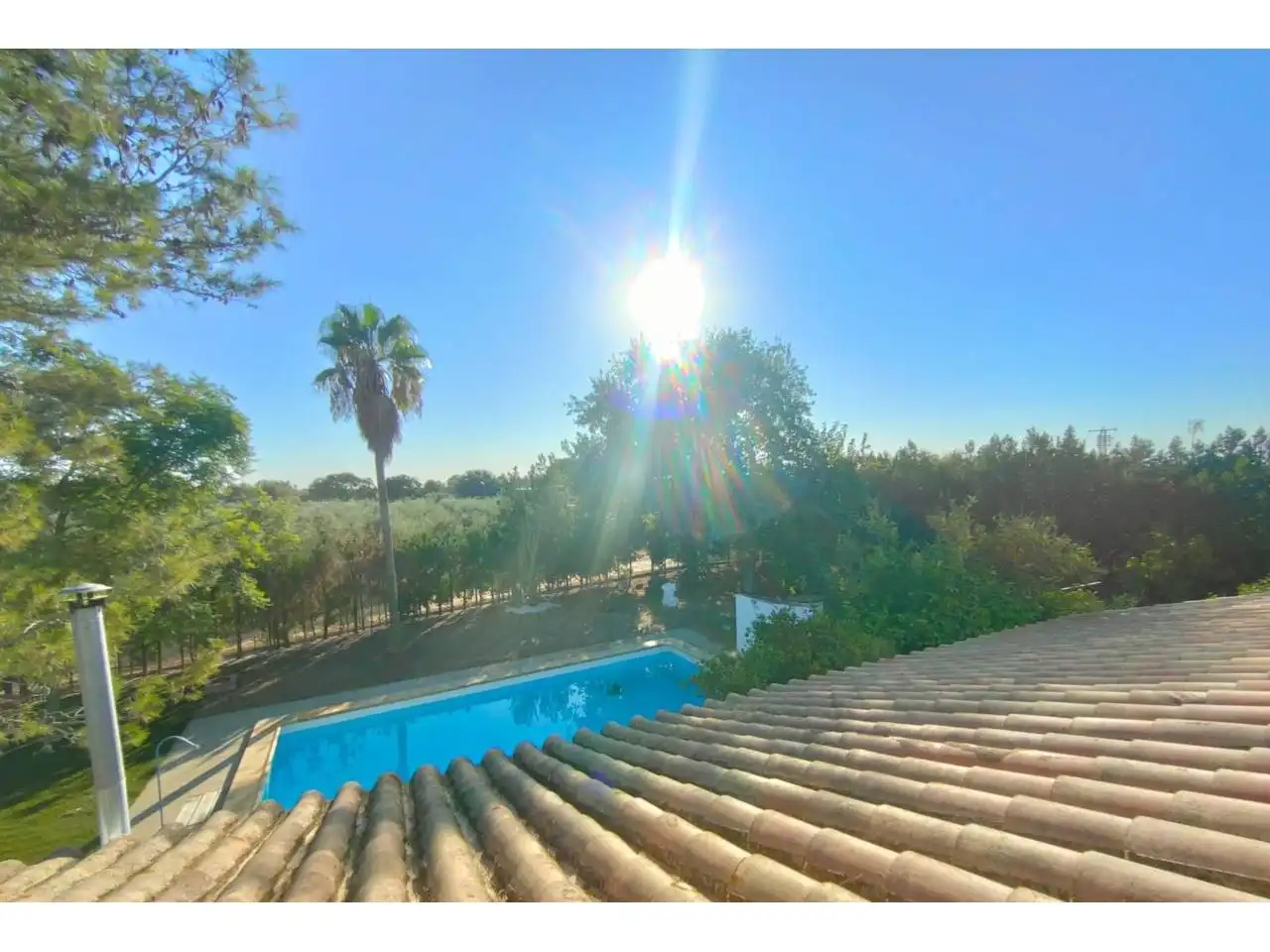 Vista exterior de Casa o chalet en venta en Carmona con Aire acondicionado, Jardín privado y Terraza