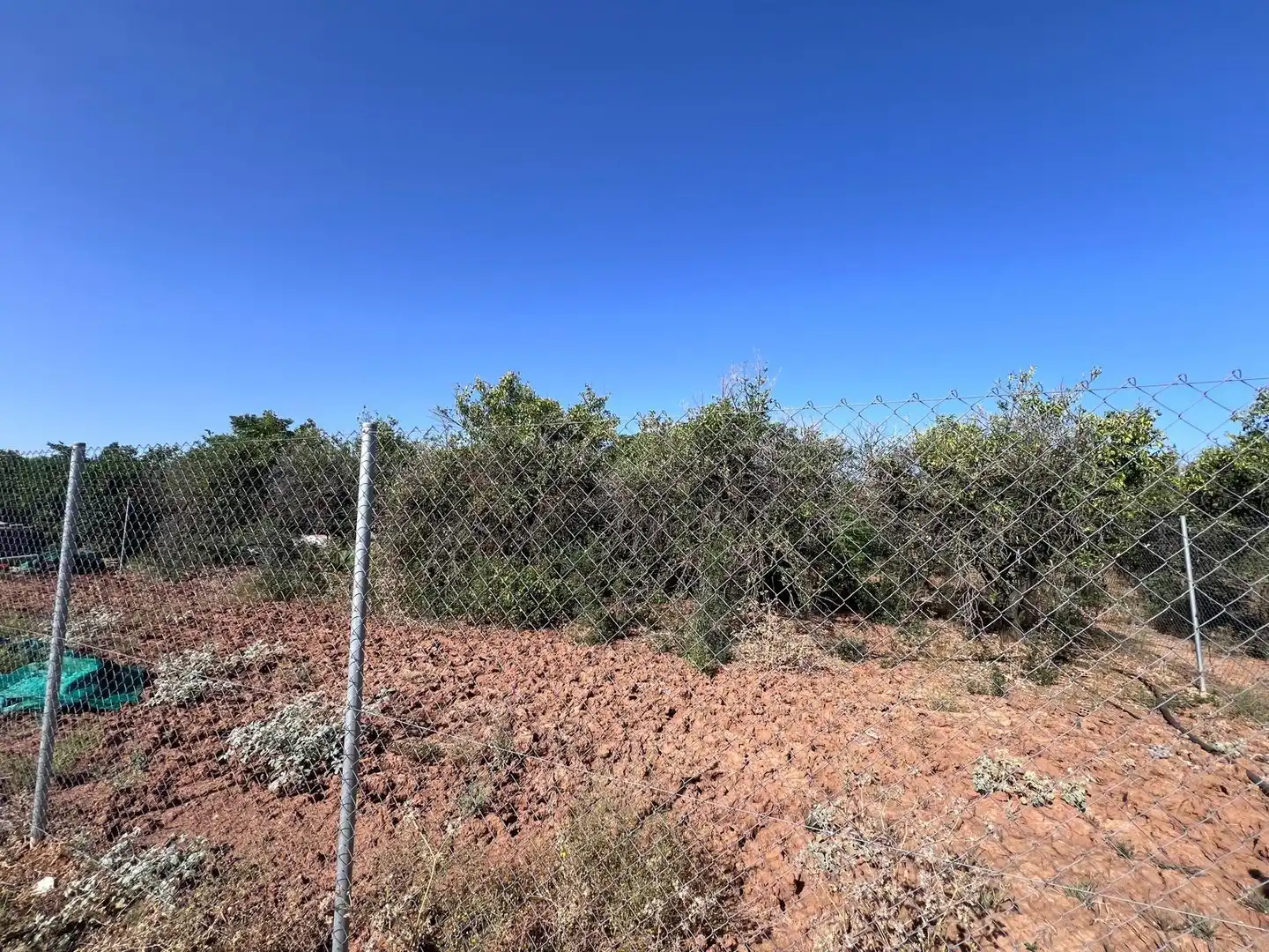 Rural land for sale in Guillena pueblo, imagen 3